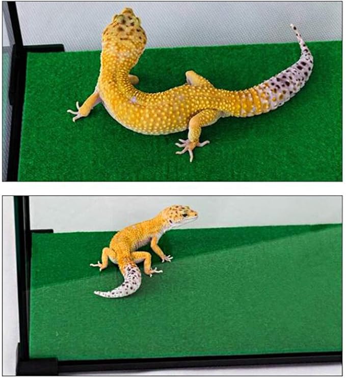 Tfwadmx 39" X 20" Reptile Carpet Mat Substrate Liner Bedding Reptile Supplies for Terrarium Lizards Snakes Bearded Dragon Gecko Chamelon Turtles Iguana (2 Pack) Tfwadmx
