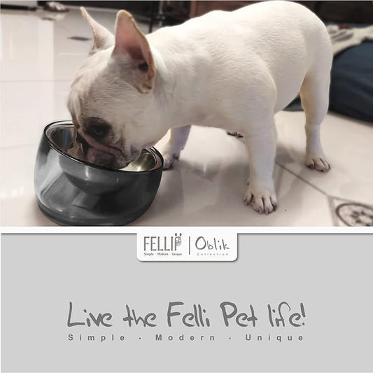 Felli Pet Oblik Spill Proof Dog Food Water Bowl Raised Acrylic Cone, Stainless Steel Tilted Oval Dish Pet Friendly, Slanted Metal Plate Feeder Elevated for Small Medium Size Dog (1.5Cup, Smoky) - PAWPICO