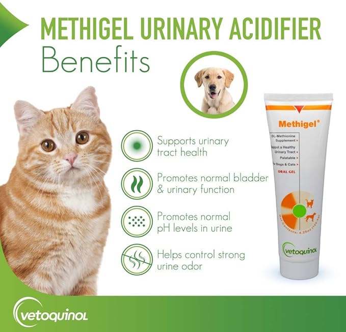 Vetoquinol Methigel Urinary Acidifier to Promote Urinary and Bladder Health for Dogs & Cats Vetoquinol