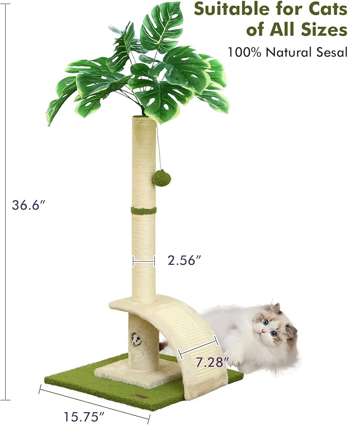 Cat Scratching Post, 35" Tall Cat Scratcher Kitten Scratch Post with Sisal Rope for Indoor Cats Claw Scratcher, Cat Tree with Dangling Ball for Kitties and Cats - PAWPICO