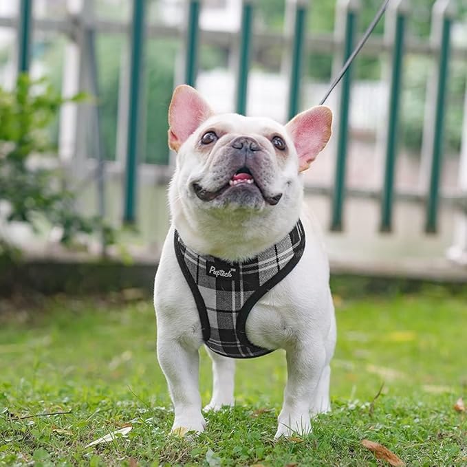 PUPTECK Soft Mesh Dog Harness and Leash Set Pet Puppy Cat Comfort Padded Vest No Pull Harnesses, Black&White, S PUPTECK