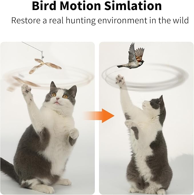 FUKUMARU Cat Wand Toy, 35.5 Inch Cat Feather Propeller Toy with Bell, Steel Wire Cat Toy for Indoor Cats with Natural Feather - PAWPICO