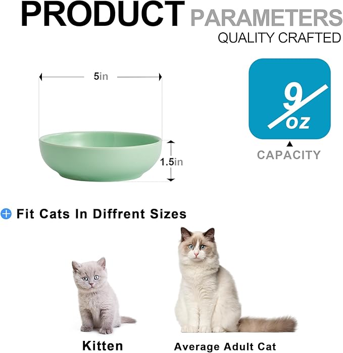 Howise 5.3 in Ceramic Cat Bowls Set, Shallow Cat Food Bowl Small Pet Bowls Cat Dish for Food and Water, Green - PAWPICO