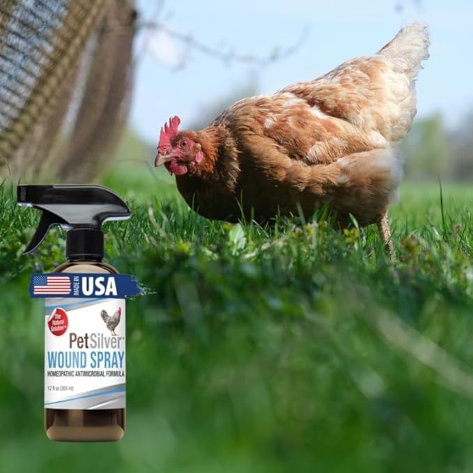 PetSilver Chicken Wound Spray for Chickens & Birds - Patented Silver Solution - Silver Spray for Wounds, Pecking Sores, Bumblefoot, Cuts, Burns, & Skin Irritations - Chicken Care - USA Made - 12 fl oz PetSilver