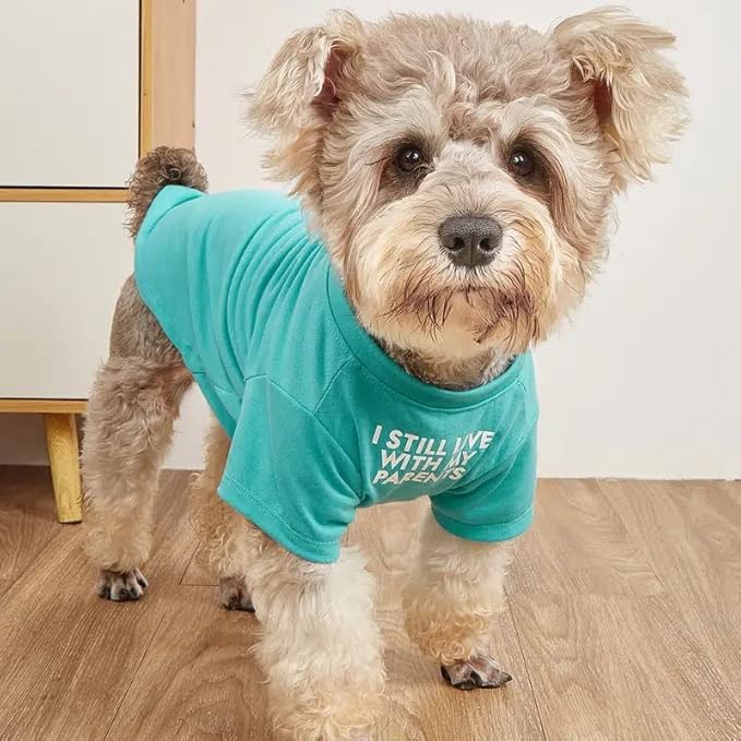 Cute Dog Clothes,Dog T Shirt for Medium Dogs.Dog Clothes for Small Dogs Girl Boy,Puppy.Breathable Soft Dog Costume Pet Dogs Cats,Pet Pullover Jumper,Cat Clothes (S-(4~8lb), Chest~14", Aqua) - PAWPICO