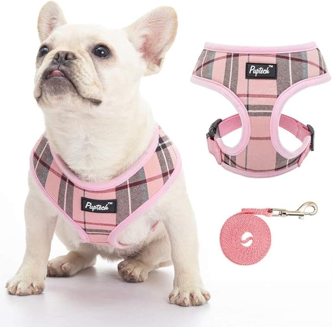 PUPTECK Soft Mesh Dog Harness and Leash Set Pet Puppy Cat Comfort Padded Vest No Pull Harnesses, Old Pink, XXS PUPTECK