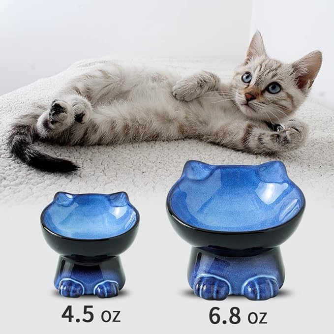 Nihow Slanted Elevated Cat Bowls: 5 Inch Ceramic Raised Cat Food Bowl for Protecting Pet's Spine - Microwave & Dishwasher Safe -Elegant Blue & Black (4.5 OZ /1 PC) - PAWPICO