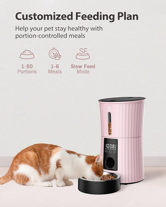 Petory Timed Automatic Cat Feeders - 4L Programable Dry Food Dispenser for Cats and Small Medium Dogs 6 Meals with Desiccant Bag Dual Power Supply 10S Voice Recorder - PAWPICO