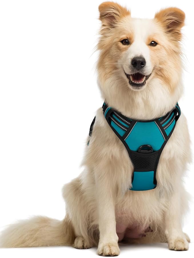 rabbitgoo Dog Harness No Pull with 2 Leash Clips, Adjustable Soft Padded, Reflective Oxford No Choke Pet Vest with Easy Control Handle for Medium Sized Dogs, Teal, M rabbitgoo