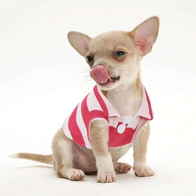 2 Pack Guinea Pig Clothes Rabbit Summer T-Shirt Pet Costume Vest for Small Animal Kitten Ferret Chihuahua Puppy KAMABRIDAL