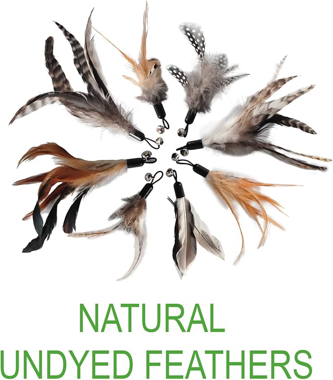 Cat Toys - No Chemical Dyeing Cat Feather Toys for Indoor Cats - Include Cat Wand and Natural Feather Refills - PAWPICO