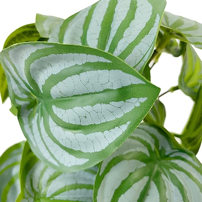 YOGURTCK Reptile Artificial Plants, Amphibian Habitat Hideout, Terrarium Decorations - Peperomia Watermelon YOGURTCK