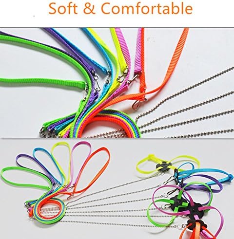 Hypeety Reptile Lizard Outdoor Walk Adjustable Harness Leash Anti-bite Light Soft Bearded Dragon Accessories Parrot African Grey Cockatoo Macaw Ringneck Outside Free Lovebird Supplies (Random Color) Hypeety