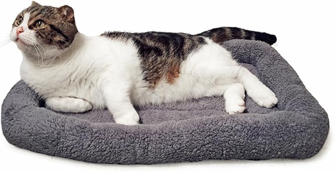 lesypet Cat Beds for Indoor Cats, 22" x 16" Pet Bed Curl Sleep Plush Cushion with Pillow, Non-Slip Bottom Washable Pet Mat for Small Dogs Pet, Medium - PAWPICO