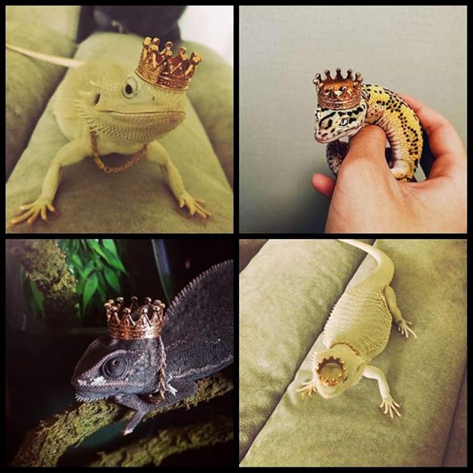 HAICHEN TEC Lizard Crown Lizard Clothes Accessories Gold Alloy Crown Cool Reptile Costume Photo Props Party Jewelry Lizard Clothes for Bearded Dragons Leopard Gecko Iguana Amphibians (Crown) HAICHENTEC