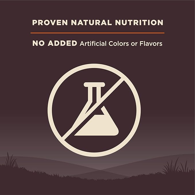 Wellness Natural Pet Food CORE Grain-Free High-Protein Small Breed Dry Dog Food, Natural Ingredients, Made in USA with Real Meat (Adult, Turkey, 4-Pound Bag) - PAWPICO