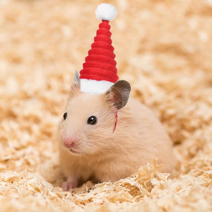 POPETPOP Small Pet Christmas Hat Hamster Santa Hat Birthday Party Cone Hat Holiday Costume Hat for Guinea Pig Hamster Squirrel Chinchilla Gerbil POPETPOP