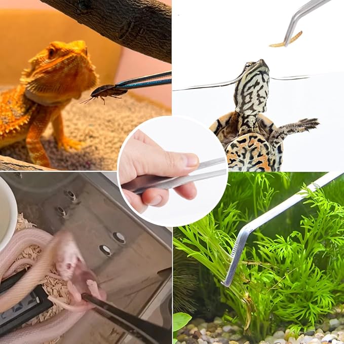 3Pcs Reptile Metal Feeding Tongs, Snake Tank Long Tweezers Fit Bearded Dragon Tarantula Spider Gecko Lizard Frog Turtle Ball Python Aquarium Terrarium PAWPICO