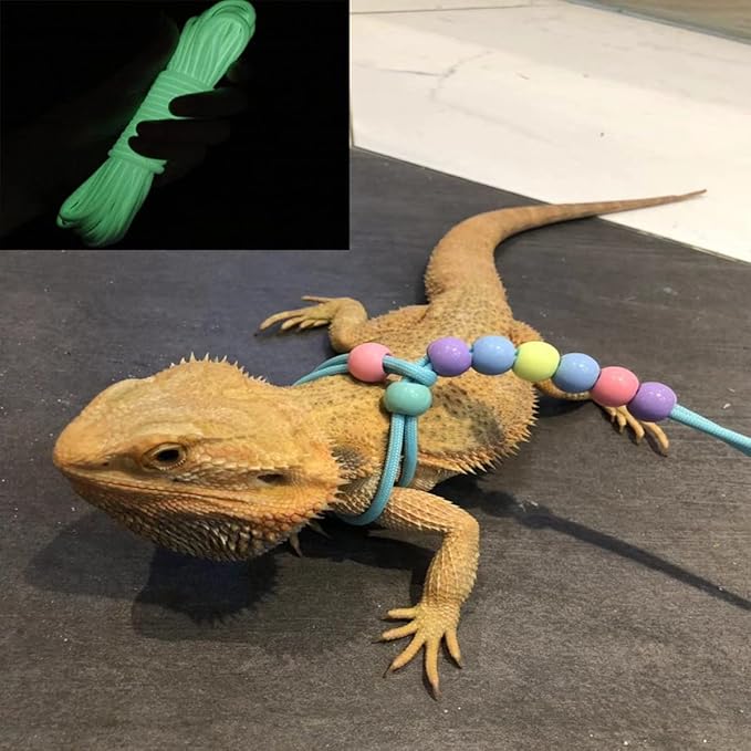1 Pcs Adjustable Lizard Harness Adjustable Walking Harness Bearded Dragon Leash Reptile Dragon Leash Adjustable Harness Lead for Small Animal Hamster Reptiles Duoduole