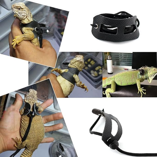Bearded Dragon Leash and Harness Set,Lizard Leash Bearded Dragon,3 Size Pack Adjustable Small Animal Harness for Reptile and Small Pet(Old Black) cyhaen