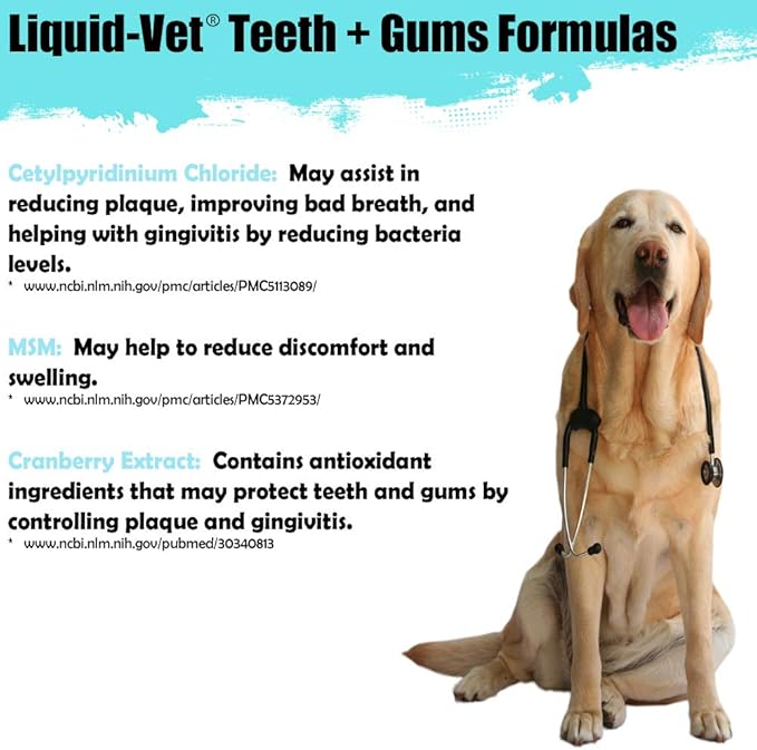 K9 Teeth & Gums Advanced Formula, Chicken Flavor, 32 oz Liquid-Vet+by+COOL+PET+Holistics