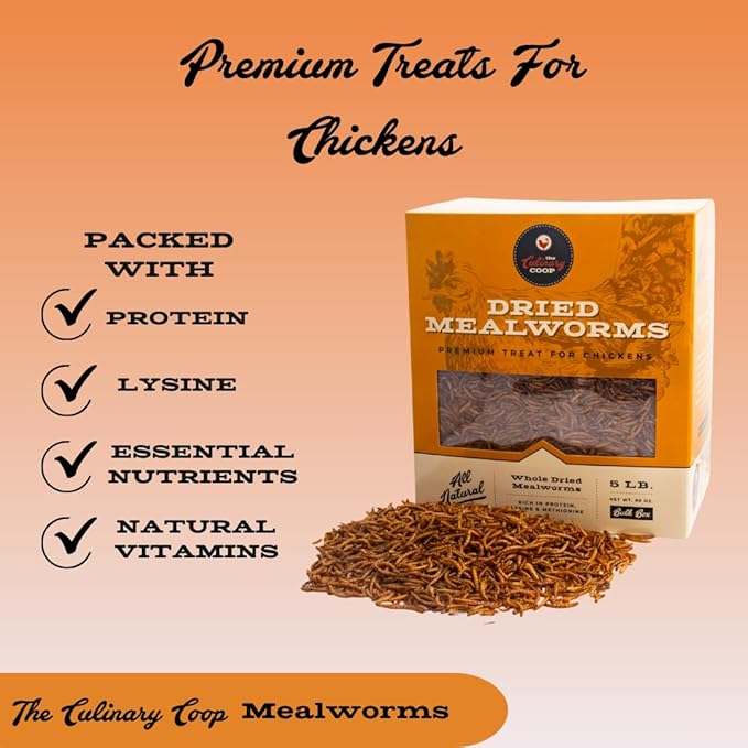 Fluker's Culinary Coop Premium Chicken Treats, High Protein Dried Mealworms, Nutritious Snacks for Chickens, Birds, and Reptiles, 5 lbs Box Flukers