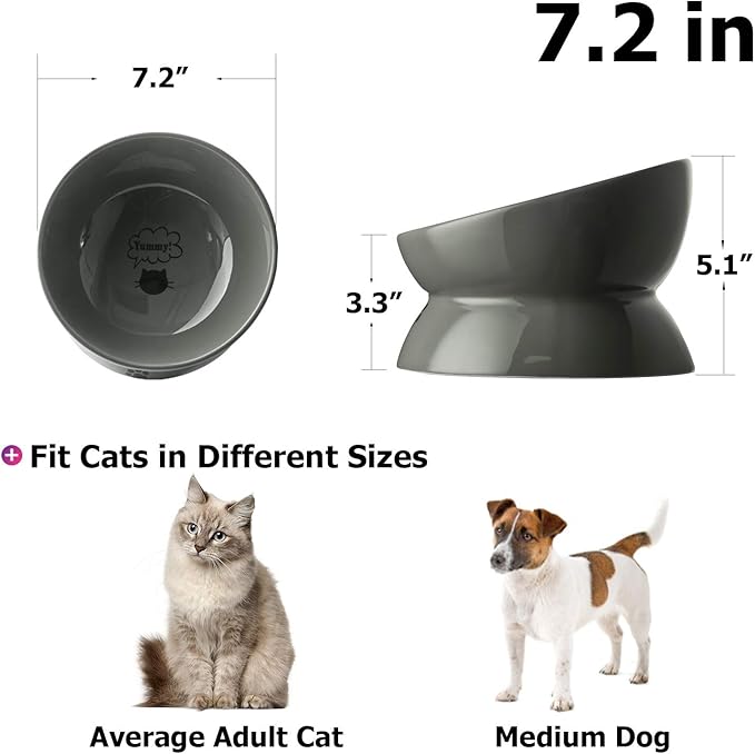 Y YHY Dog Food Bowl, Raised Dog Bowls Anti Vomiting, 7 Inch Tilted Elevated Dog Bowl, Ceramic Pet Food Bowl for Small Medium Large Dogs and Cats, Grey - PAWPICO