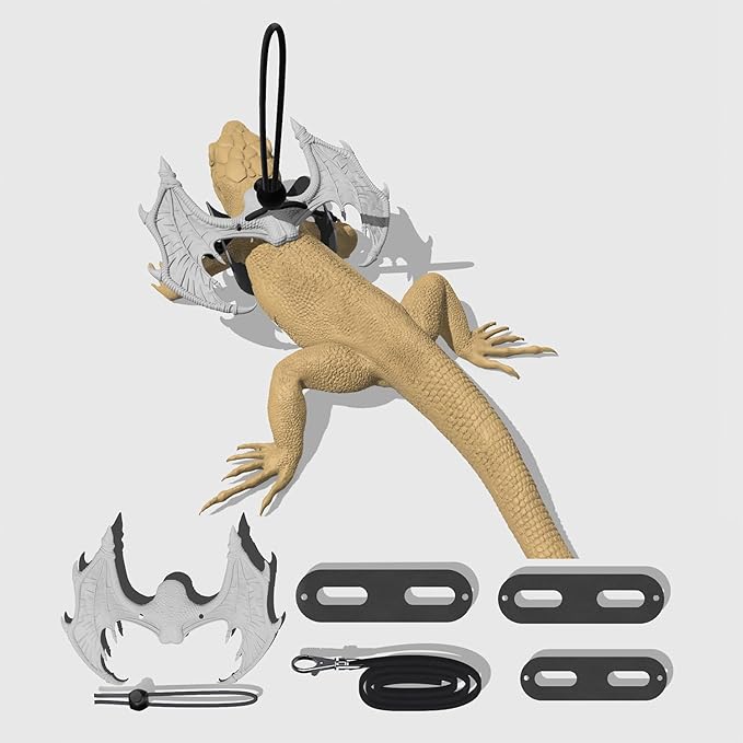 Bearded Dragon Leash and Harness Set Adjustable Design, Bearded Dragon Leash with Wings Silicone,Deal for Amphibians and Other Small Pet Animals(Grey) Enrichoice