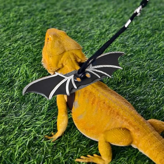 Bearded Dragon Leash - 3 Sizes Pack Reptile Outing Leather Wing Harness for Bearded Dragon Lizard Reptiles (Silvery) HOKABLE