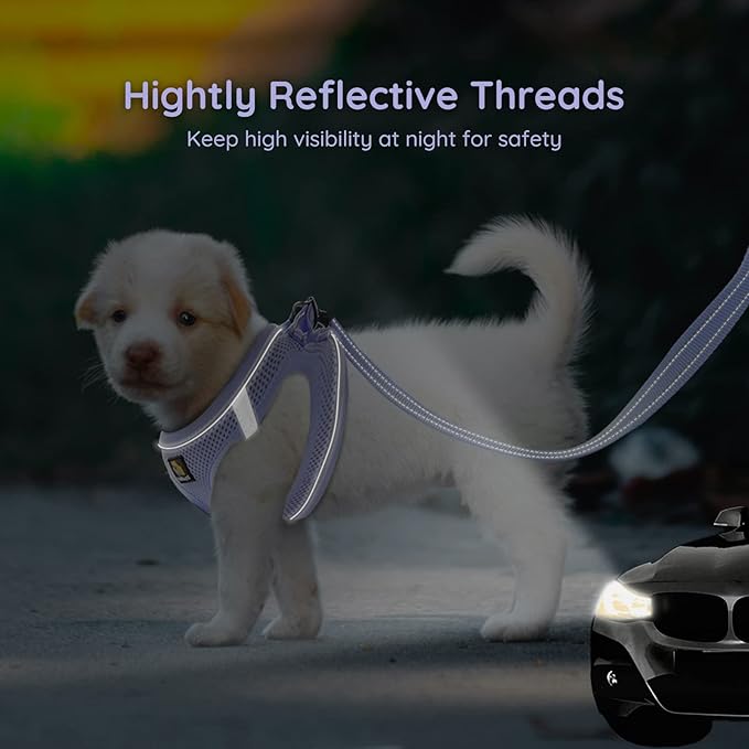 BELLA & PAL Puppy Harness with Leash Set, Dog Harness for Small Dogs No Pull, Dog Leash for Small Dogs, Step in Harness for Extra Small Dogs, Purple Lavender Harness, M BELLAPAL