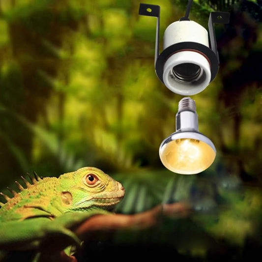 2-Pack Reptile Ceramic Heat Lamp Holder Pet Heater Bracket Reptile Light Fixture for Heat Lamp Bulb Terrariums Habitat Lizard Tortoise(Bulb Not Included) Arigoul