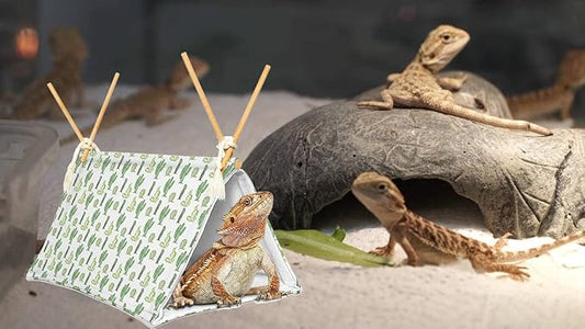 Bearded Dragon Tent Bed,Cactus Pattern Reptile Bearded Dragon cage/hides and Caves/Habitat Hideout… (Cactus) Aipush