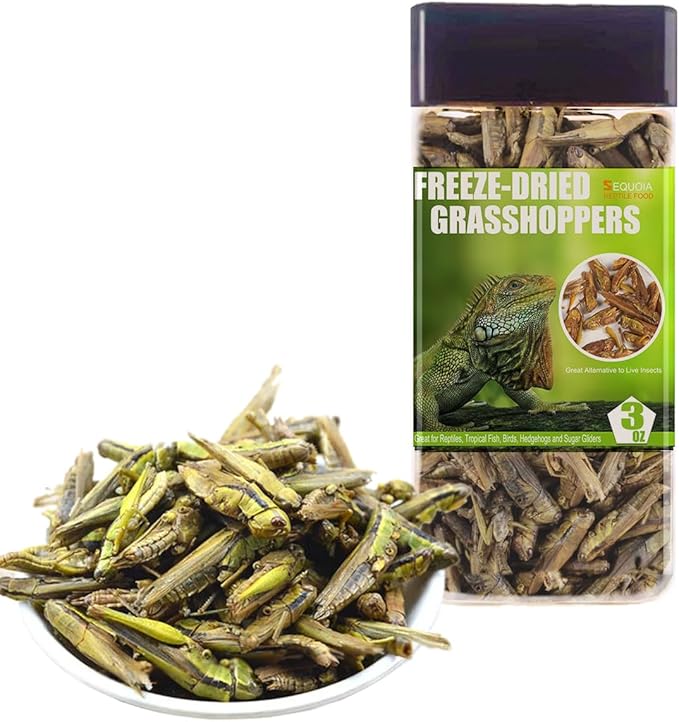 Tasty Freeze Dried Grasshopper Reptile Food for Turtles, Bearded Dragon, Hedgehog,Lizard, Chameleon, Birds (3 OZ) BNYEE