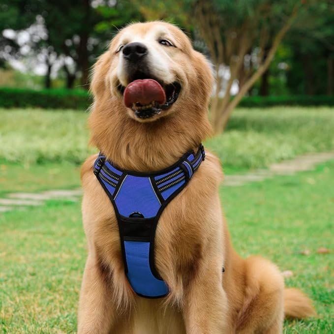 rabbitgoo Dog Harness No Pull with 2 Leash Clips, Adjustable Soft Padded, Reflective Oxford No Choke Pet Vest with Easy Control Handle for Large Dogs, Dazzling Blue, L rabbitgoo