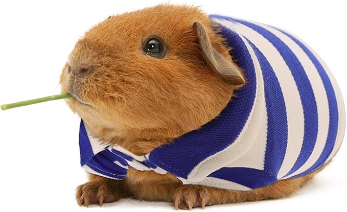 2 Pack Guinea Pig Clothes Rabbit Summer T-Shirt Pet Costume Vest for Small Animal Kitten Ferret Chihuahua Puppy KAMABRIDAL