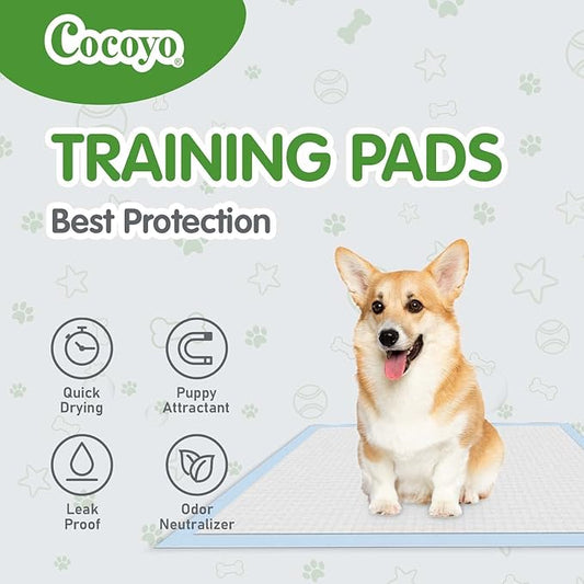 COCOYO Best Value Training Pads 100 Count 13“ by 17.7”| Dog Pee Pads | Super Absorbent Puppy Pads,Blue - PAWPICO