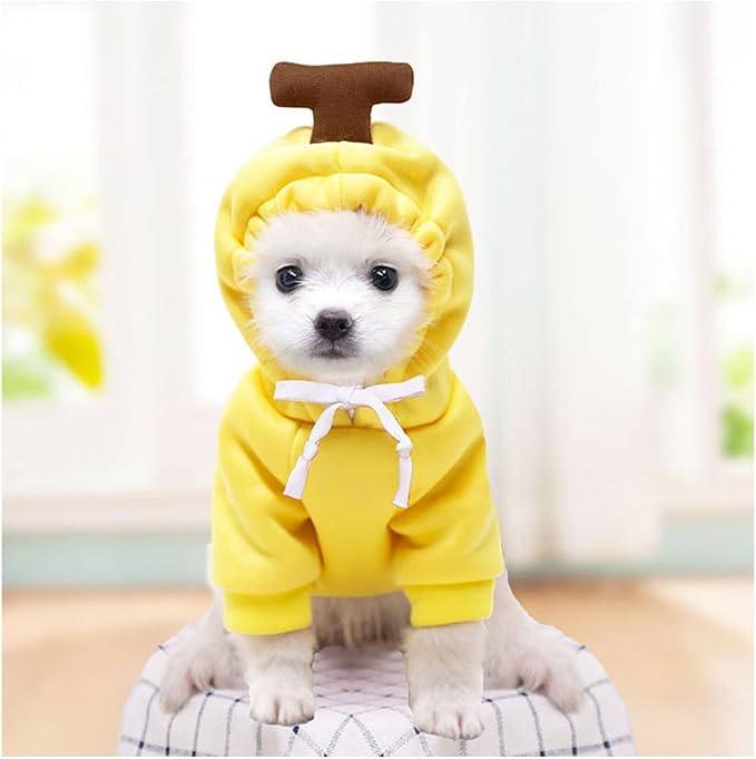 Warm Dog Winter Clothes Cute Fruit Dog Coat Hoodies Fleece Pet Dogs Costume Jacket for French Bulldog Chihuahua Ropa para Perro(Yellow,M) - PAWPICO