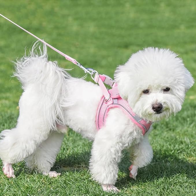 AIITLE Dog Harness, Spring No-Pull Cat Harness with a Leash, Adjustable Reflective Dog Vest, Cat Harness Escape Proof, Outdoor Walking, Camping for Extra Small Dogs and House Cats Pure Pink XXXS AIITLE-FORPETSBETTERLIFE