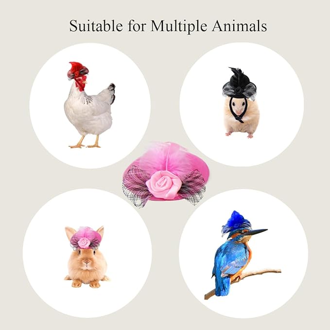 3Pcs Chicken Hats for Hen Small Helmets for Real Chicken Pet Chicken Top Hat with Adjustable Elastic Chin Strap Chicken Accessories Halloween Animal Costumes Hat for Bird, Black Rose Blue, LXLVOUEG LXLVOUEG