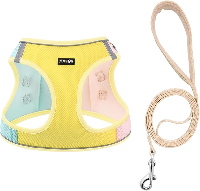 AMTOR Small Dog Harness with Leash Set, No Escape Easy Walk Puppy Harnesses for Training Walking, Step-in Reflective Soft Dogs Vest for XS S Medium Extra-Small Large Sized Dog(Yellow) AMTOR