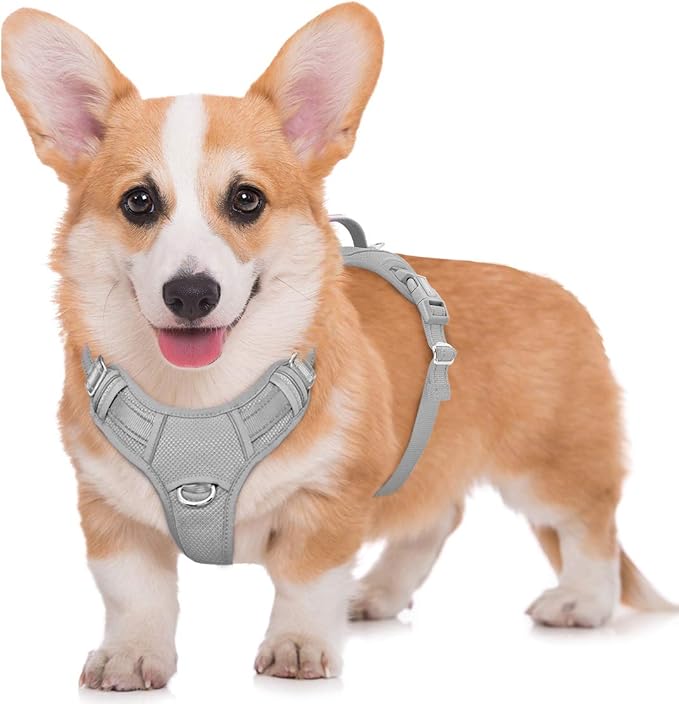 BARKBAY No Pull Dog Harness Large Reflective Dog Harness with Front Clip and Easy Control Handle for Walking Training Running with ID tag Pocket(Grey,M) BARKBAY