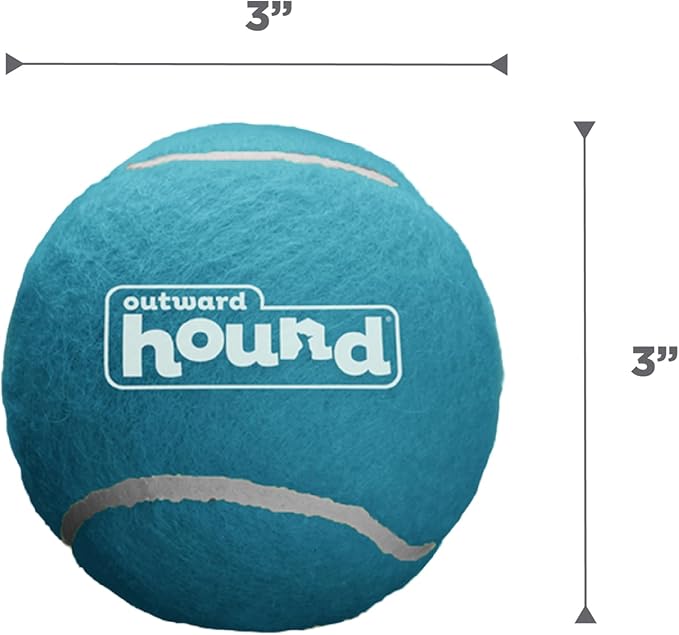 Outward Hound Squeaker Ballz Fetch Dog Toy, Large - 2 Pack - PAWPICO