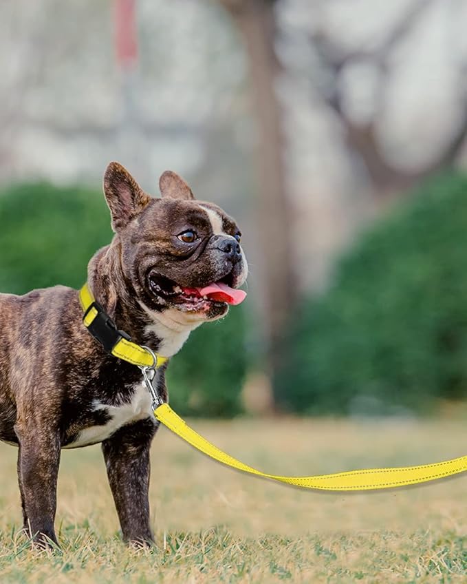 Joytale Double-Sided Reflective Dog Leash, 6 FT/5 FT/4 FT, Padded Handle Nylon Heavy Duty Leashes for Small & Medium Dogs Walking, Yellow, 5FT Joytale