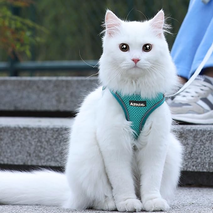 AIITLE Dog Harness, Spring No-Pull Cat Harness with a Leash, Adjustable Reflective Dog Vest, Cat Harness Escape Proof, Outdoor Walking, Camping for Extra Small Dogs and House Cats Pure Turquoise XXXS AIITLE-FORPETSBETTERLIFE