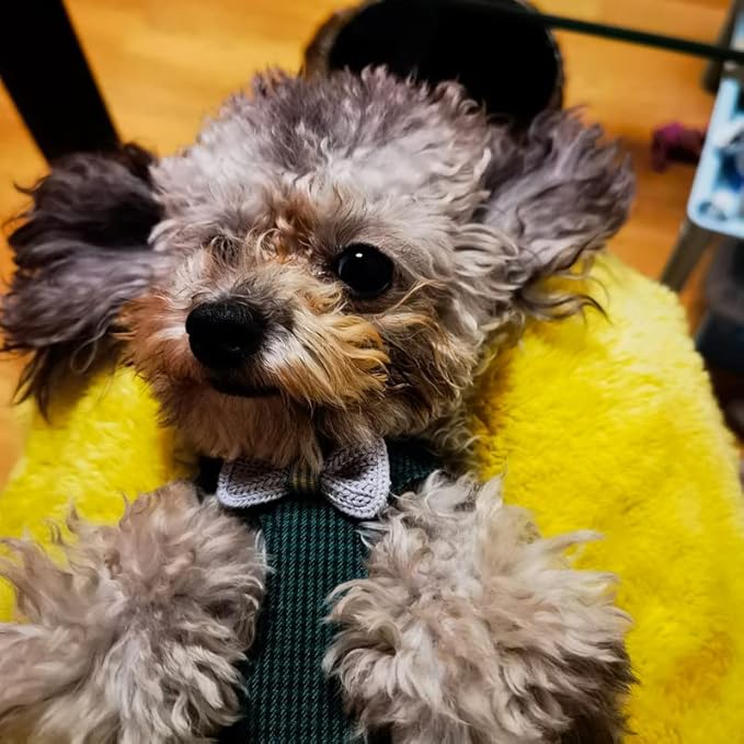 Puppytie No Pull xs Dog Harness with Multifunction Dog Leash,Soft Adjustable No Choke Escape Proof Pet Harness Vest,Knitted Green,XXS Puppytie