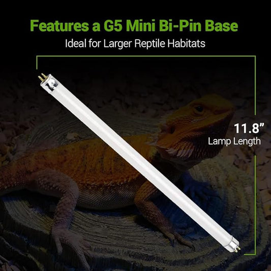 2 Pack 8W-Watt T5 HO Reptile Light Desert UVA UVB 10.0 Fluorescent Tube - 12" Terrarium Hood Light Suitable for Desert Reptile Lizards Bearded Dragons & Promotes Natural Behavior UVB Bulb BluexBulbs