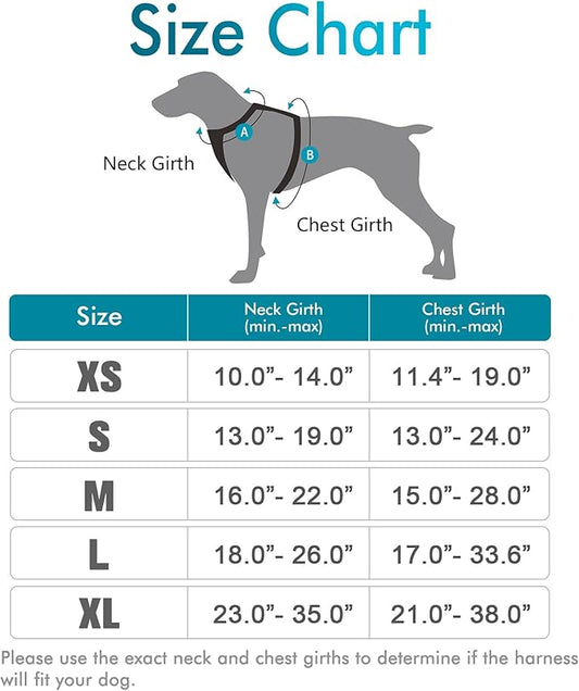 rabbitgoo Dog Harness, No-Pull Pet Harness with 2 Leash Clips, Adjustable Soft Padded Dog Vest, Reflective No-Choke Pet Oxford Vest with Easy Control Handle for Large Dogs, Teal, X-Small - PAWPICO