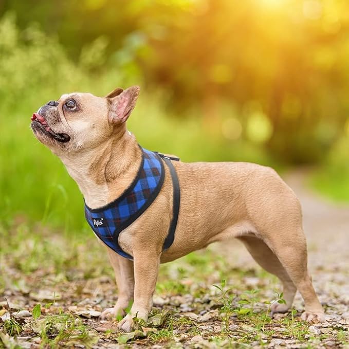 PUPTECK Soft Mesh Dog Harness and Leash Set Pet Puppy Cat Comfort Padded Vest No Pull Harnesses, Navy Blue, S PUPTECK