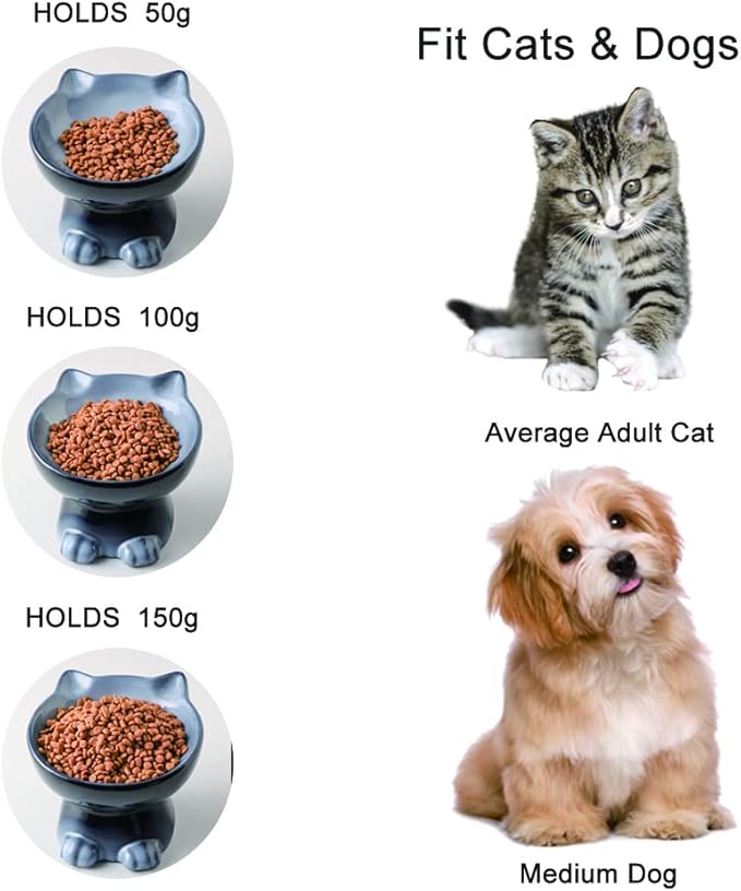 Nihow Elevated Cat/Dog Bowls: 6.25 Inch Ceramic Raised Cat Food & Water Bowl Set for Protecting Pet's Spine - Feeding & Watering Supplies for Cat/Small Size Dog - Elegant Gray (6.8 OZ /1 PC) - PAWPICO