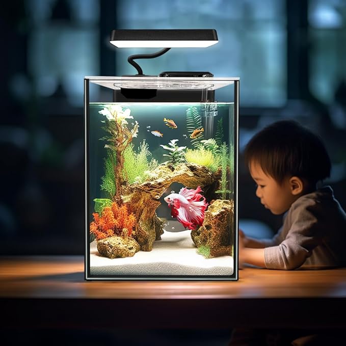 Glass Betta Aquarium Starter Kits 1.5 Gallon Small Fish Tank, Betta Fish Tank with LED Light, Power Filter, Black. 4mm Glass iPriro